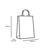 printed bag dimensions 250 x 110 x 300mm