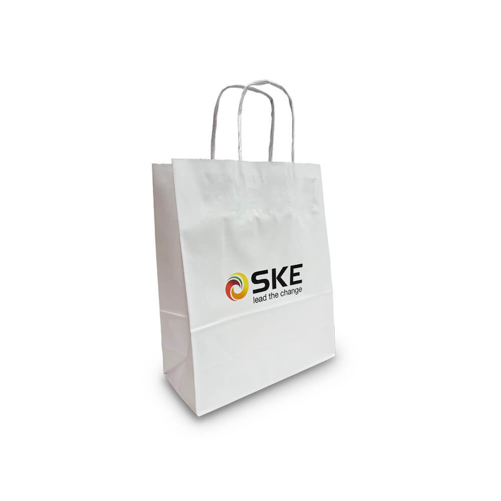 custom printed bags 250 x 110 x 300mm